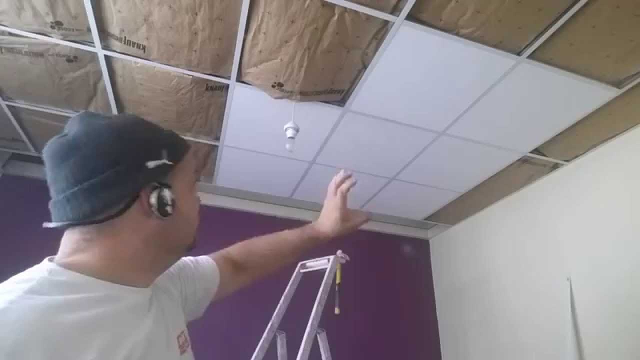 Artisan faux plafond Albi