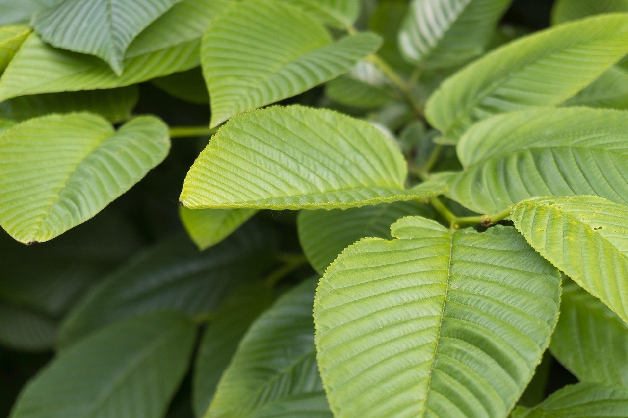 découvrez l'art du casting : choisissez les meilleurs talents pour vos projets artistiques. notre guide vous accompagne dans le processus de sélection, des auditions aux conseils pour réussir votre casting.