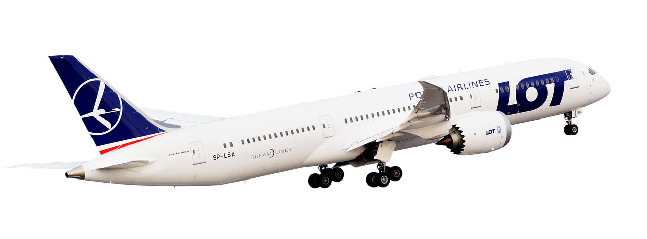 découvrez les compagnies aériennes les plus adaptées aux familles, offrant des services spéciaux, des divertissements pour enfants et des installations pratiques pour rendre vos voyages en famille plus agréables et sans stress.