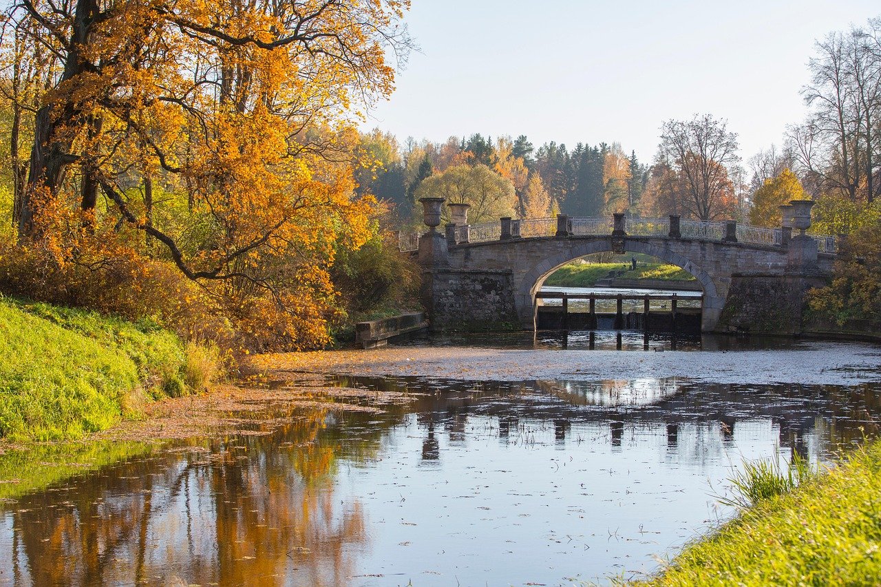 La Chapelle-Saint-Florent : Découvrez une Commune Authentique du Maine-et-Loire