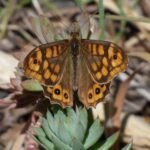 cc-bosceawy.fr : Le site des actualités de Bosceawy et des alentours