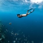 Snorkeling en Crète & Cyclades.