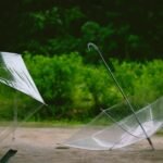 Parapluie transparent :